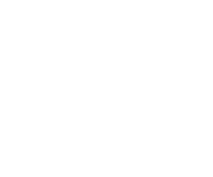 LOGO GRUPO MENDES