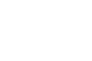 LOGO WILSON SONS